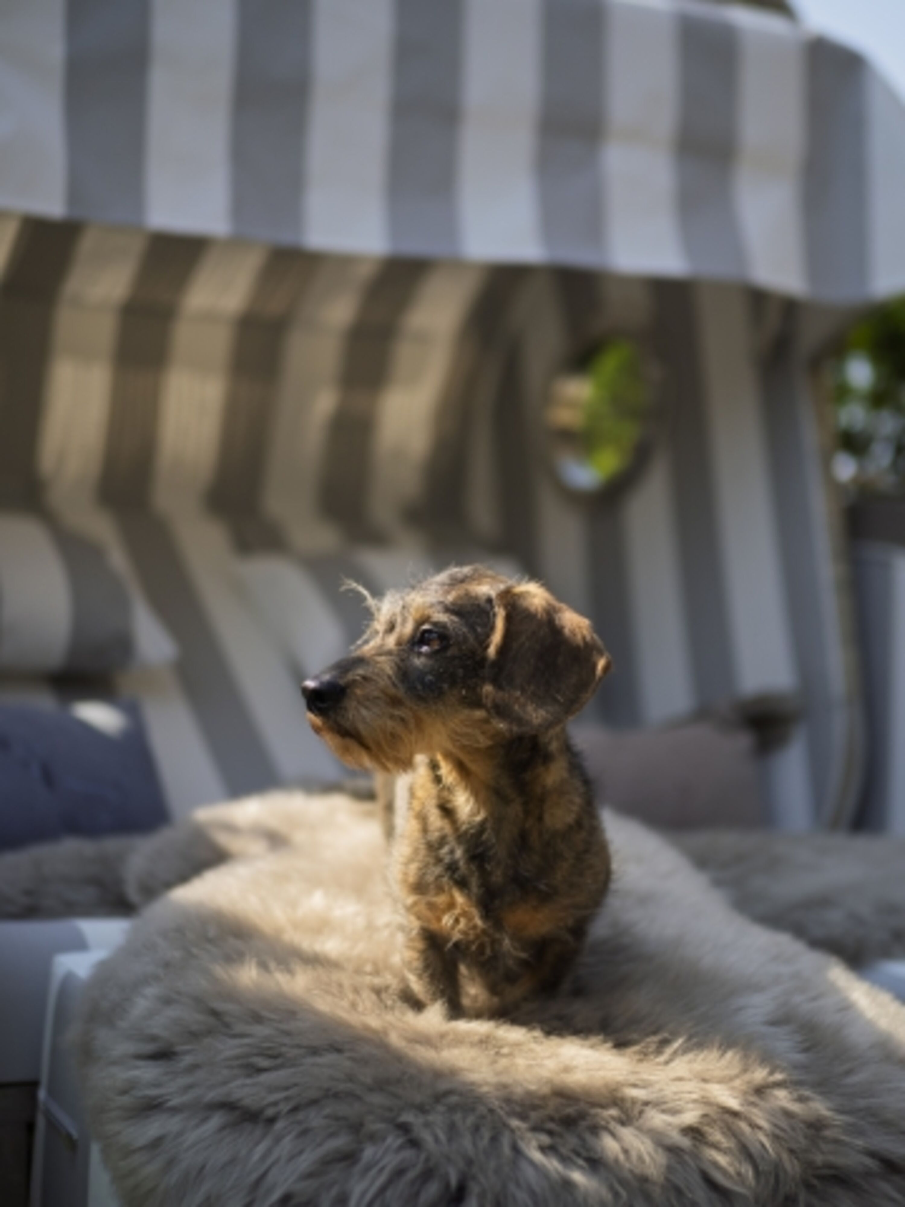 Bild 21