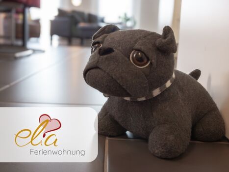 Vierbeiner sind herzlich willkommen