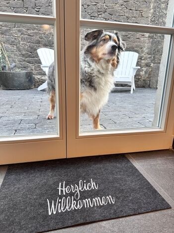 Ausgang Küche zum Hof