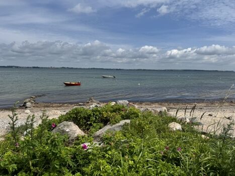 Naturstrand von Westerholz: Mit Café, DLRG und Spielplatz