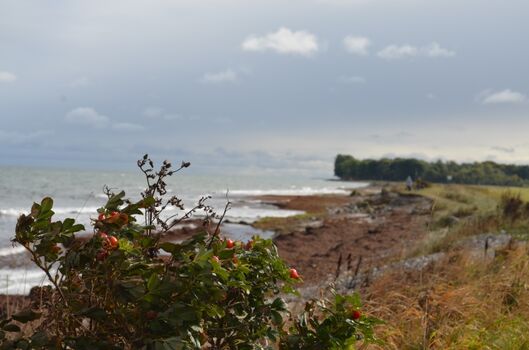 Die Flensburger Förde: Schön zu jeder Jahreszeit