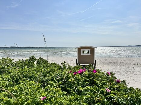 Kurstrand von Holnis: Feiner Sandstrand mit Café, DLRG und Strandkörben