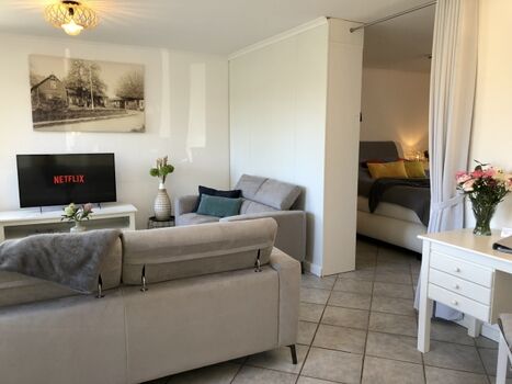 Wohnbereich mit Blick in den Schlafbereich (separat durchRaumtrenner)