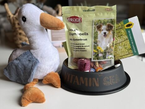 Unser Vier-Pfoten-Begrüßungspaket