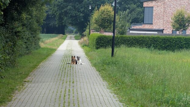 Spaziermöglichkeiten direkt ab Haus