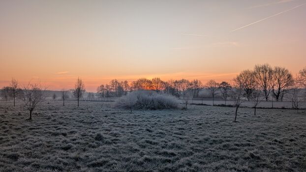 Große Freilaufwiese mit Winterfeeling