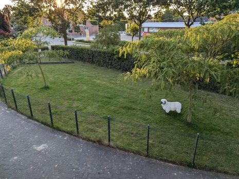 Kleine Freilaufwiese direkt am Haus. Voll eingezäunt mit 1,30 m.