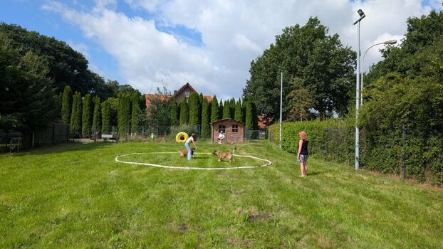 Hundetrainingswiese mit Blick Richtung Haus