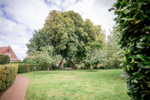 Der Gemeinschaftsgarten mit diversen Sitzgelegenheiten
