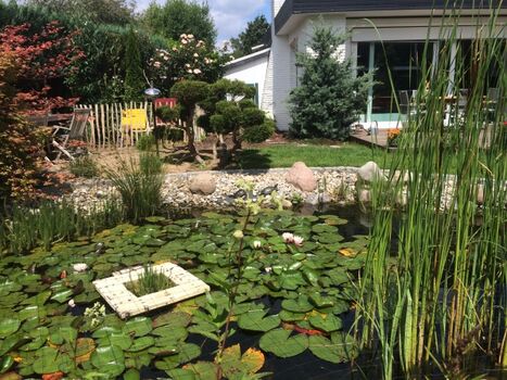 Komplett umzäuntes Grundstück, nicht einsehbarer Garten, s ...