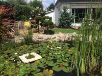 Komplett umzäuntes Grundstück, nicht einsehbarer Garten, s ...