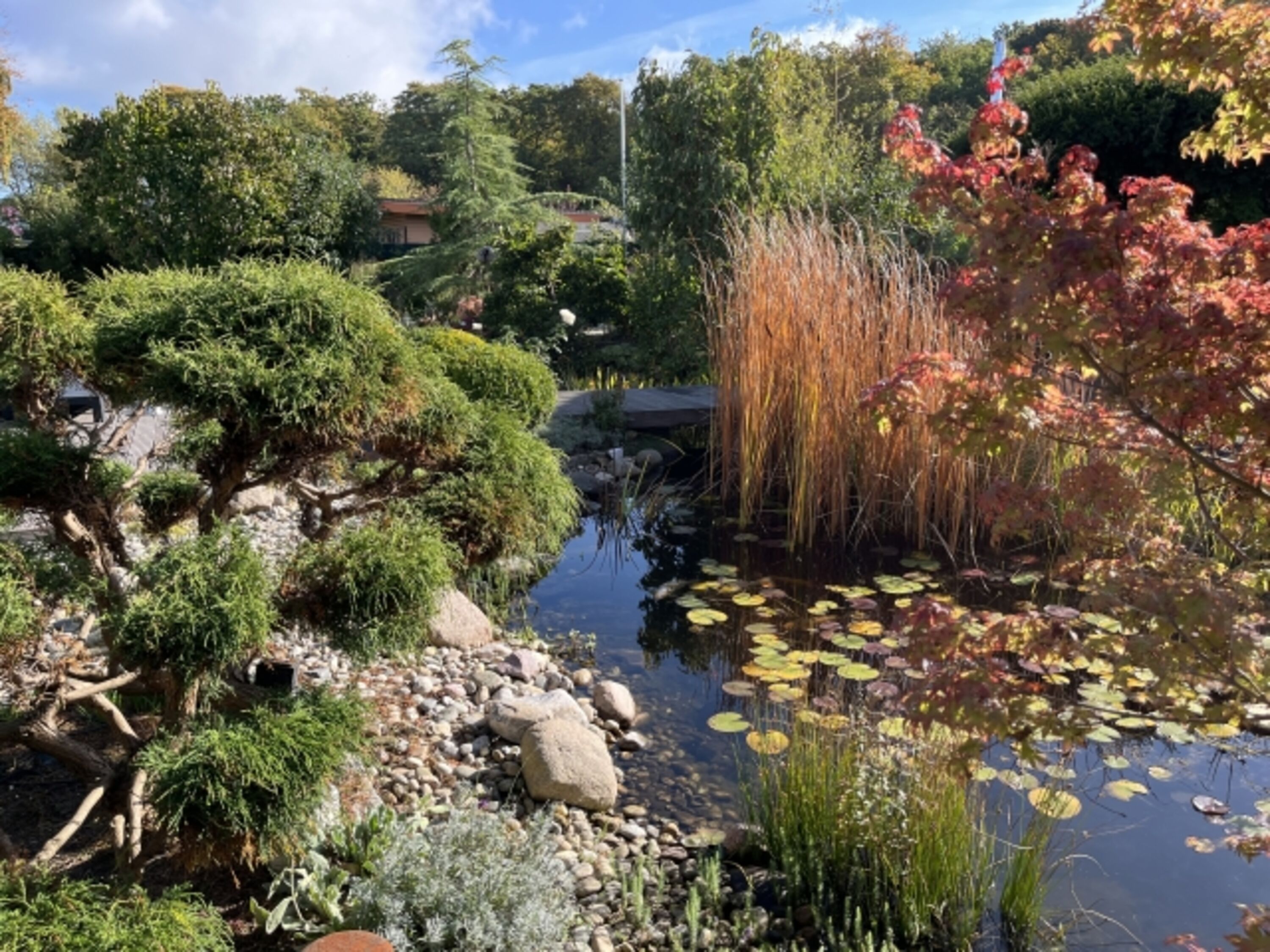 Garten