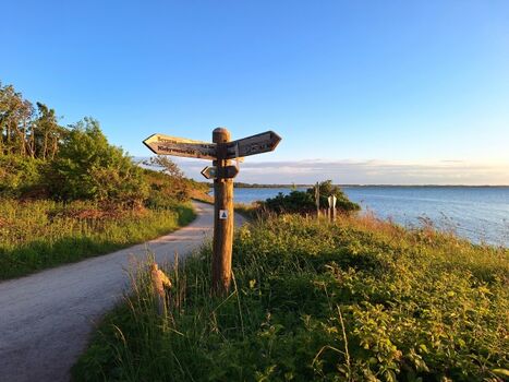 Die Geltinger Birk - zahlreiche Wanderwege im Naturschutzgebiet, ideal für Spaziergänge oder Fahrradrundtouren