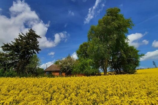 Rückansicht des Hauses - ostseenah und mitten in der Natur