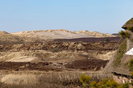 Ausblick Schlafzimmer