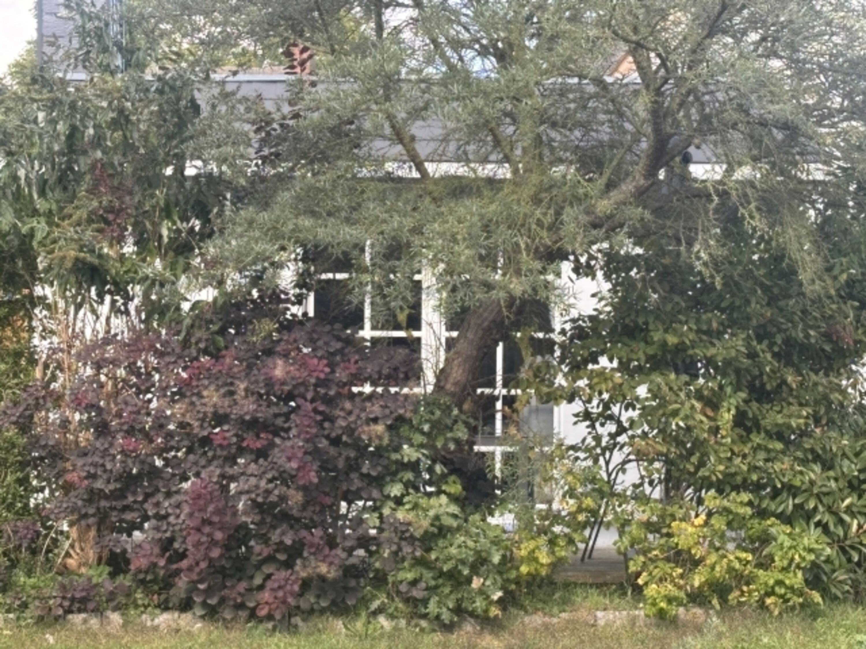 Aus dem Garten auf die Terrasse, wer es versteckt mag 
