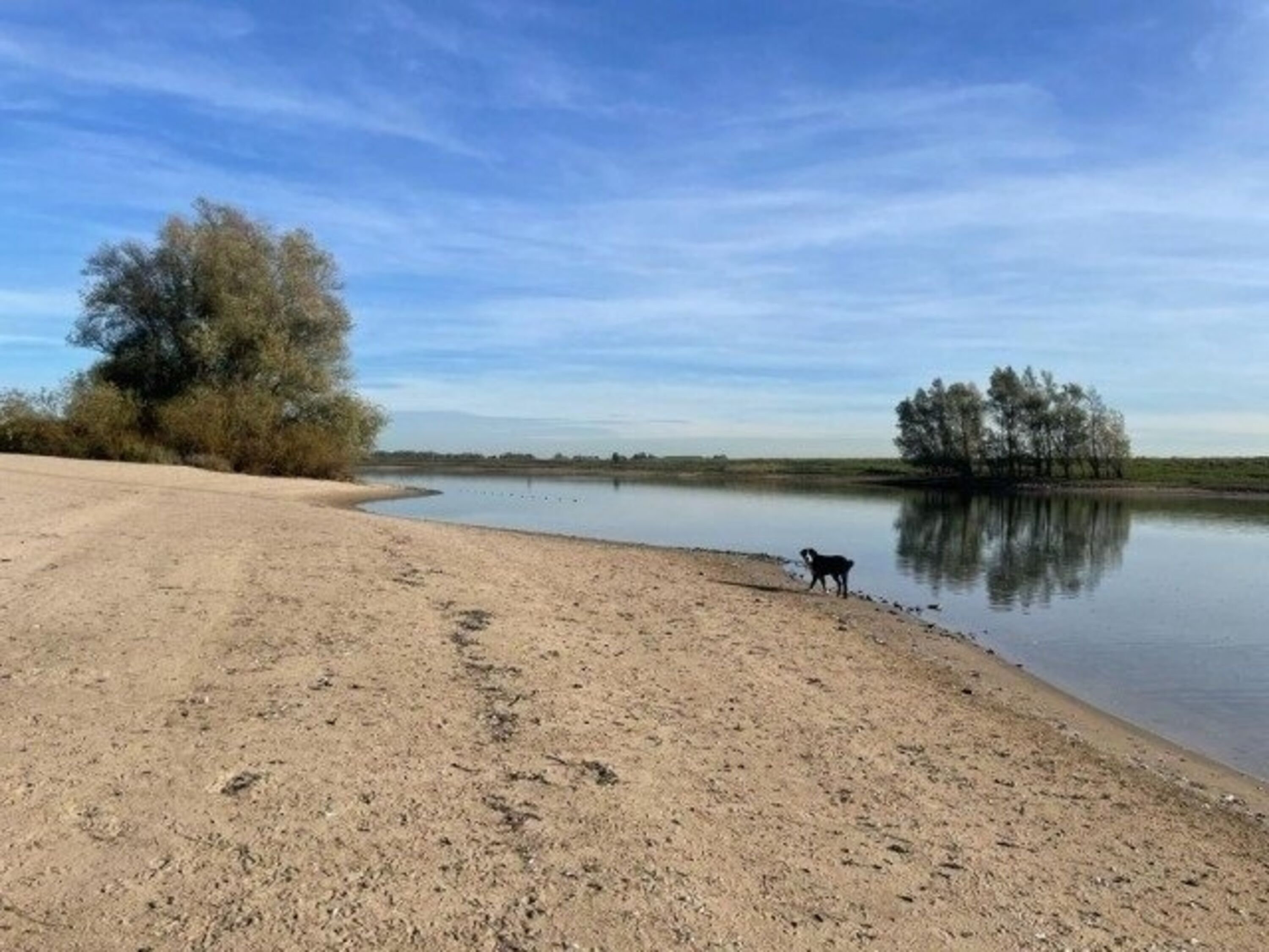 Ein Hundestrand ist auch in der Nähe