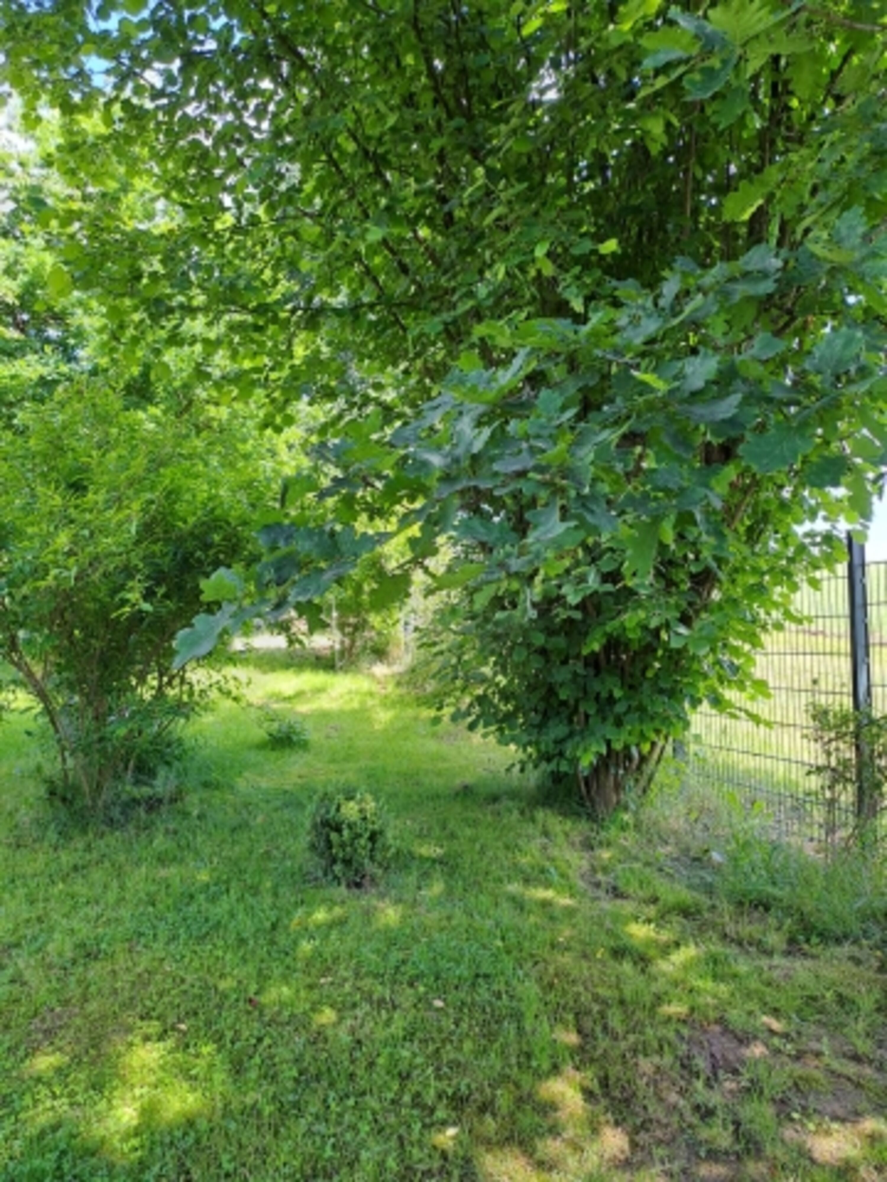 Bild 10