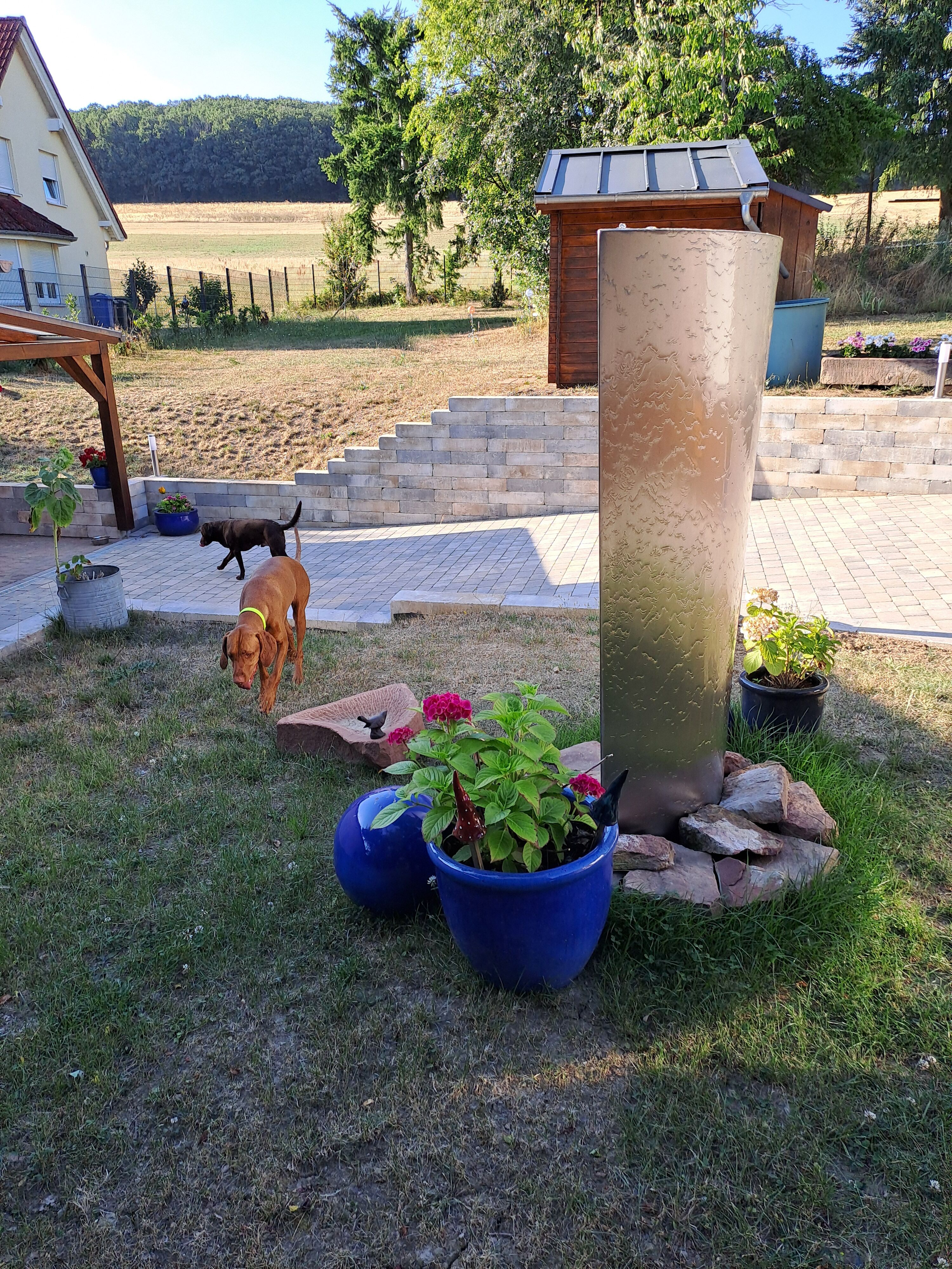 Bild 19