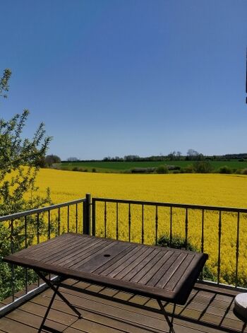 Blick vom Balkon in die unberührte Natur