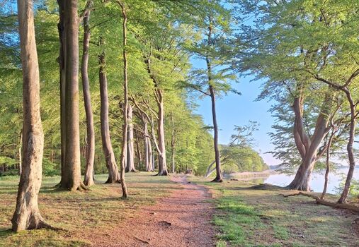Wanderwege an der Schlei 