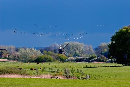 ... idyllische Natur, ruhige Umgebung