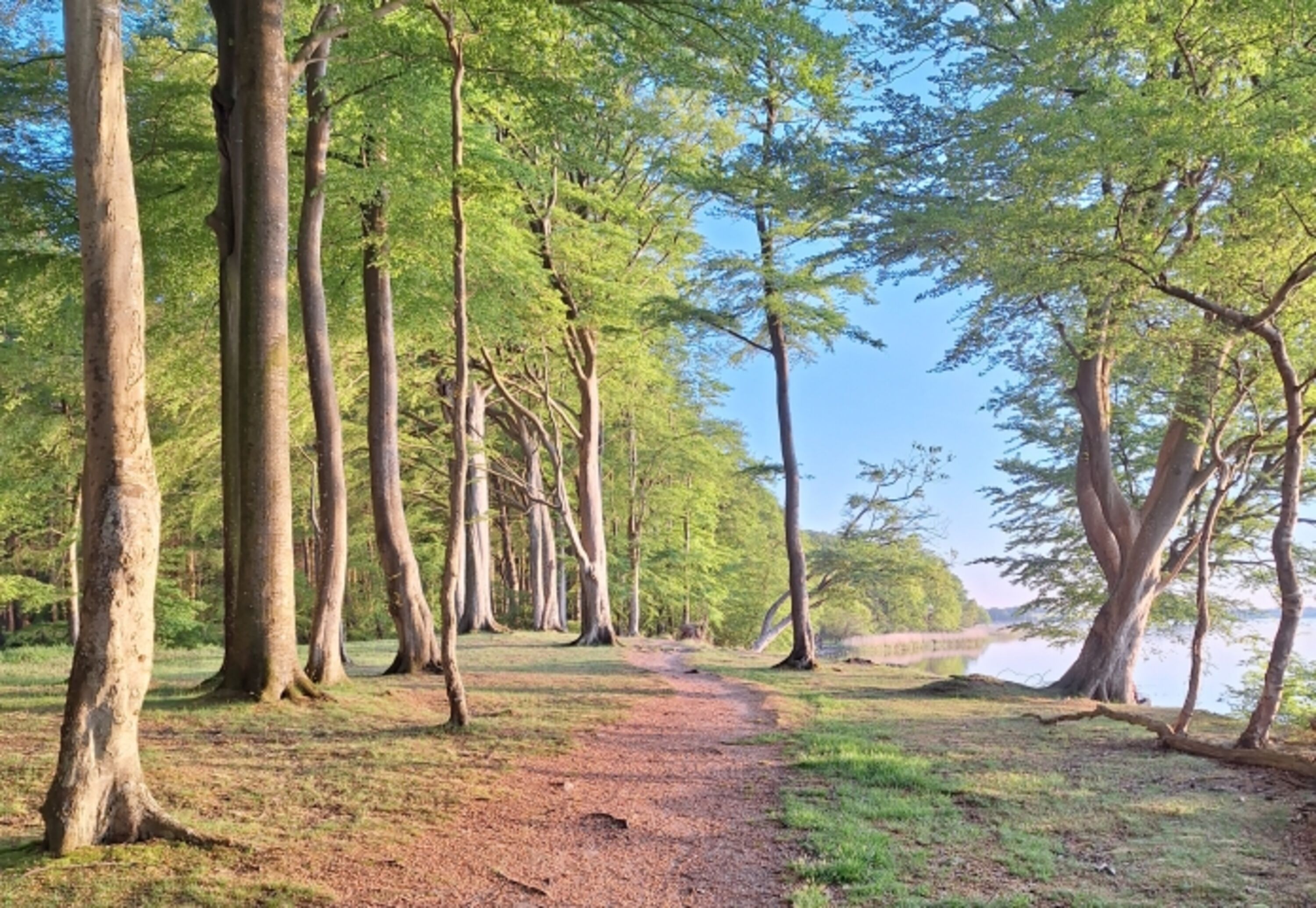Wanderwege an der Schlei