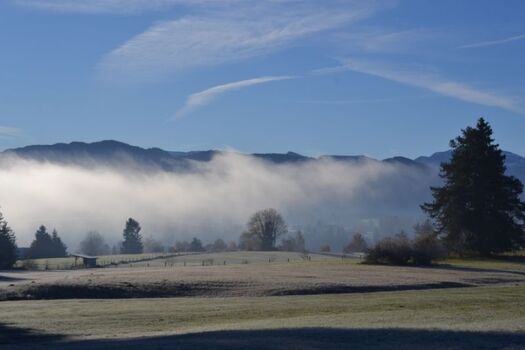 ca 5 Gehminuten entfernt