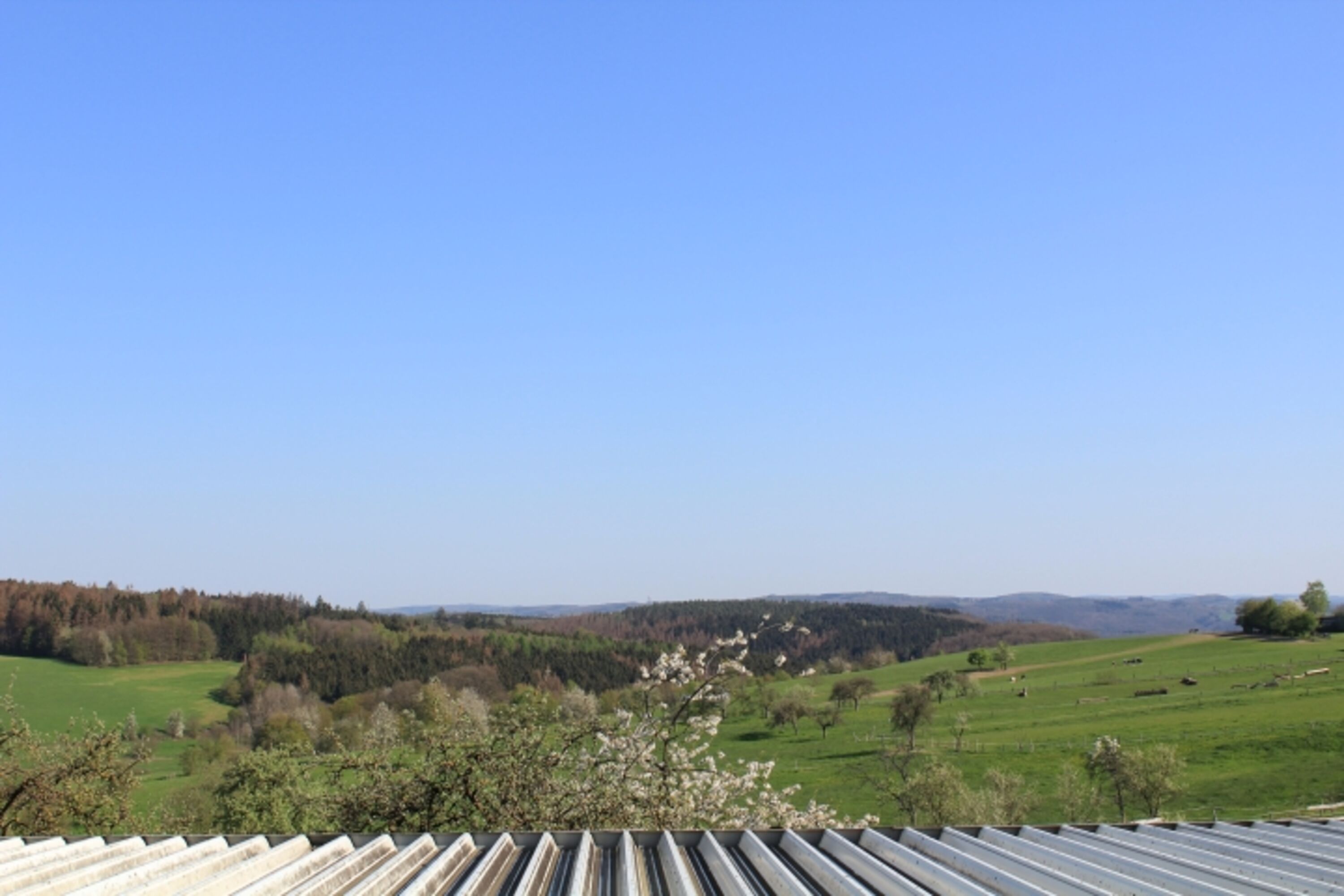 Aussicht aus dem Schlafzimmer 1