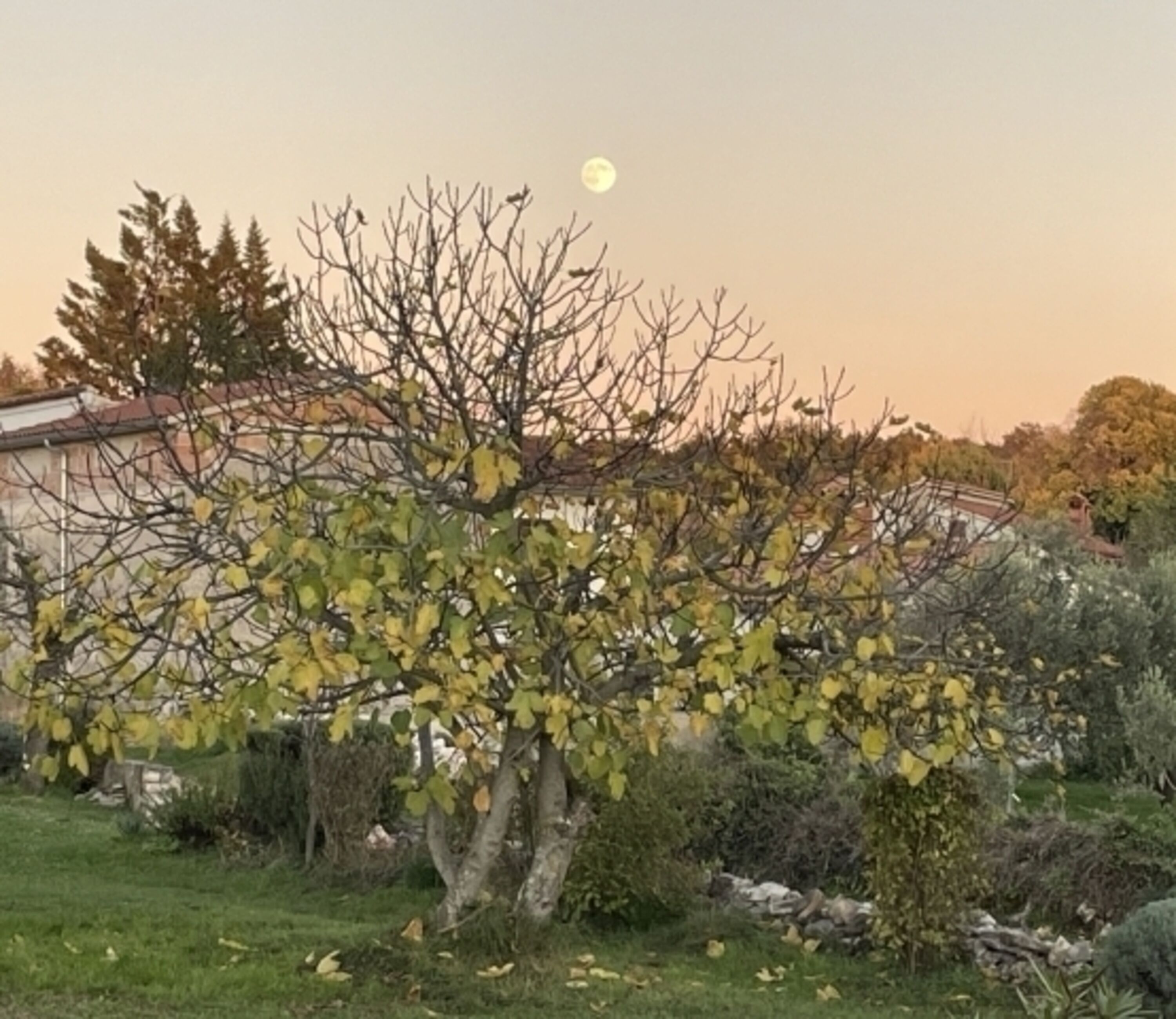 Bild 17