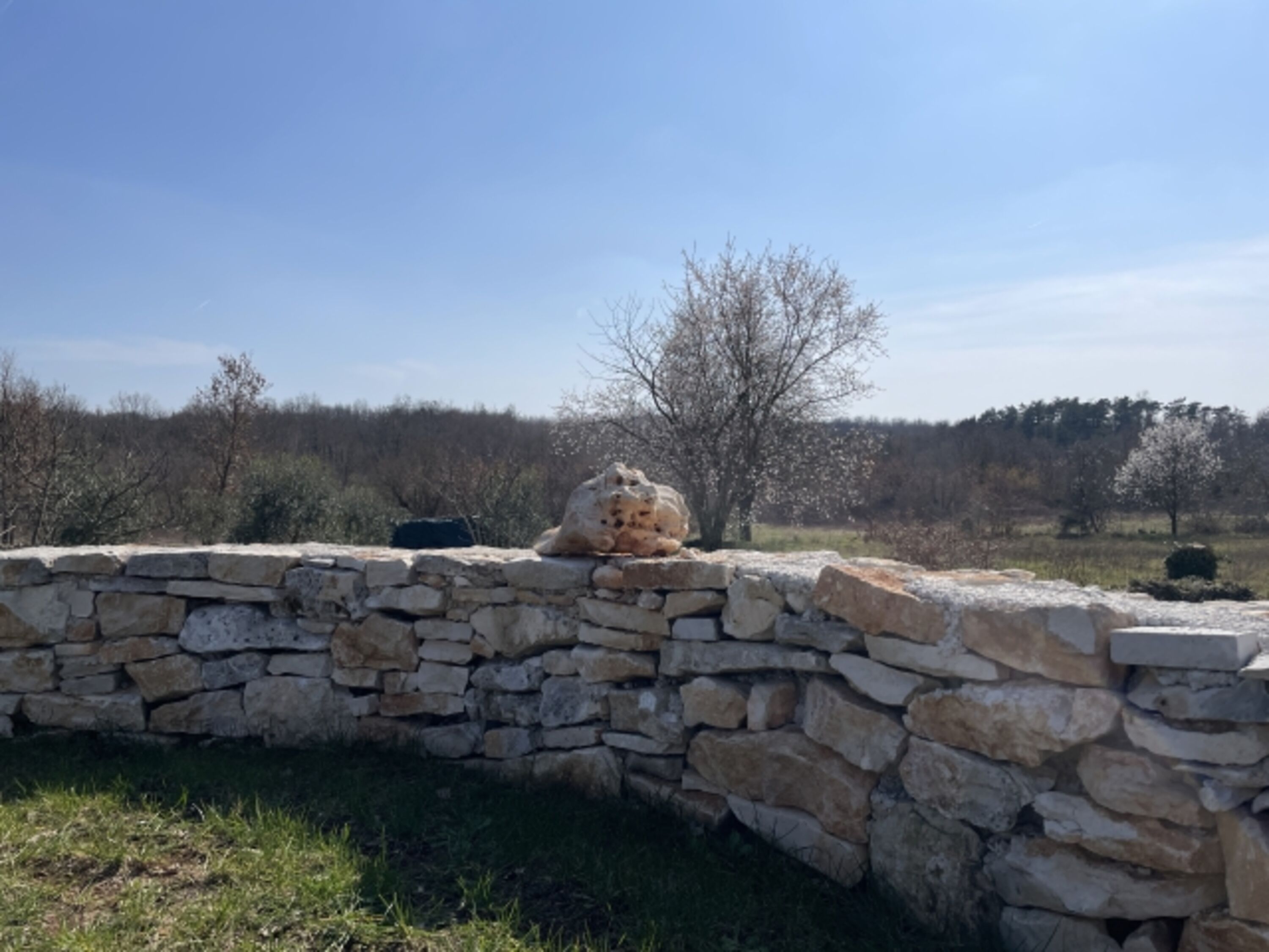 Natursteinmauer