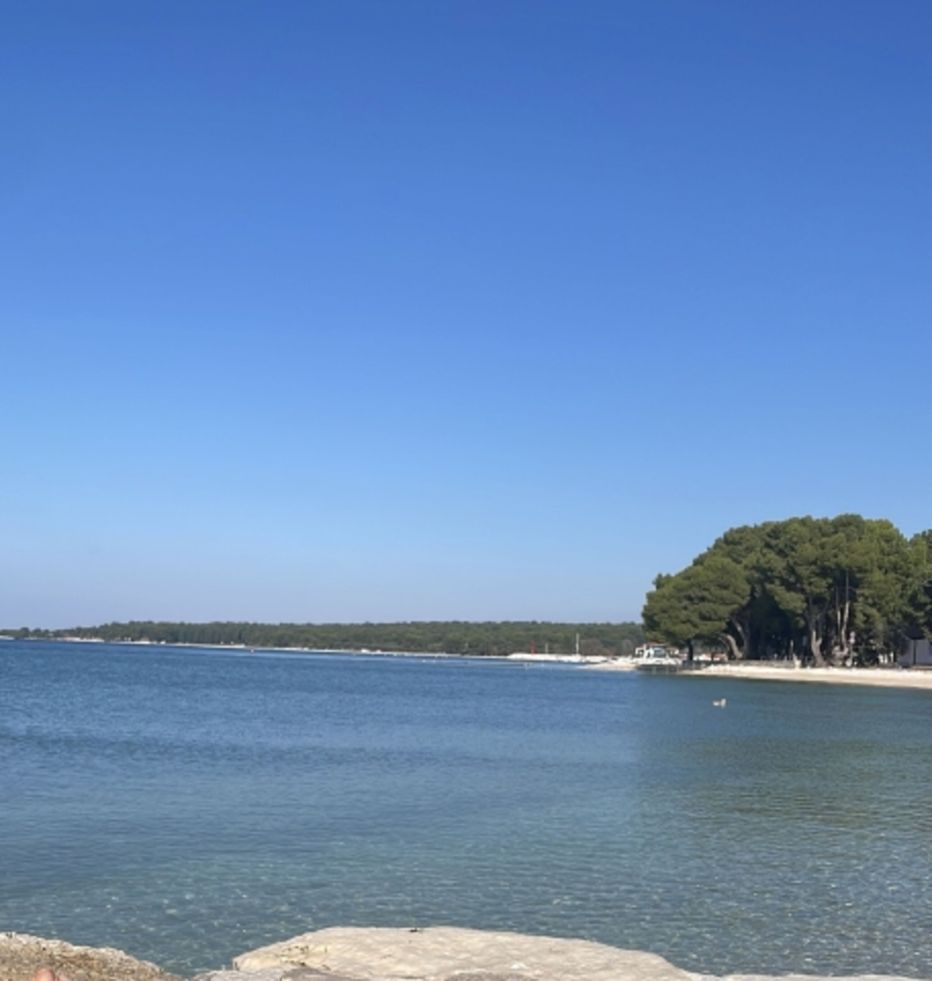 Meer