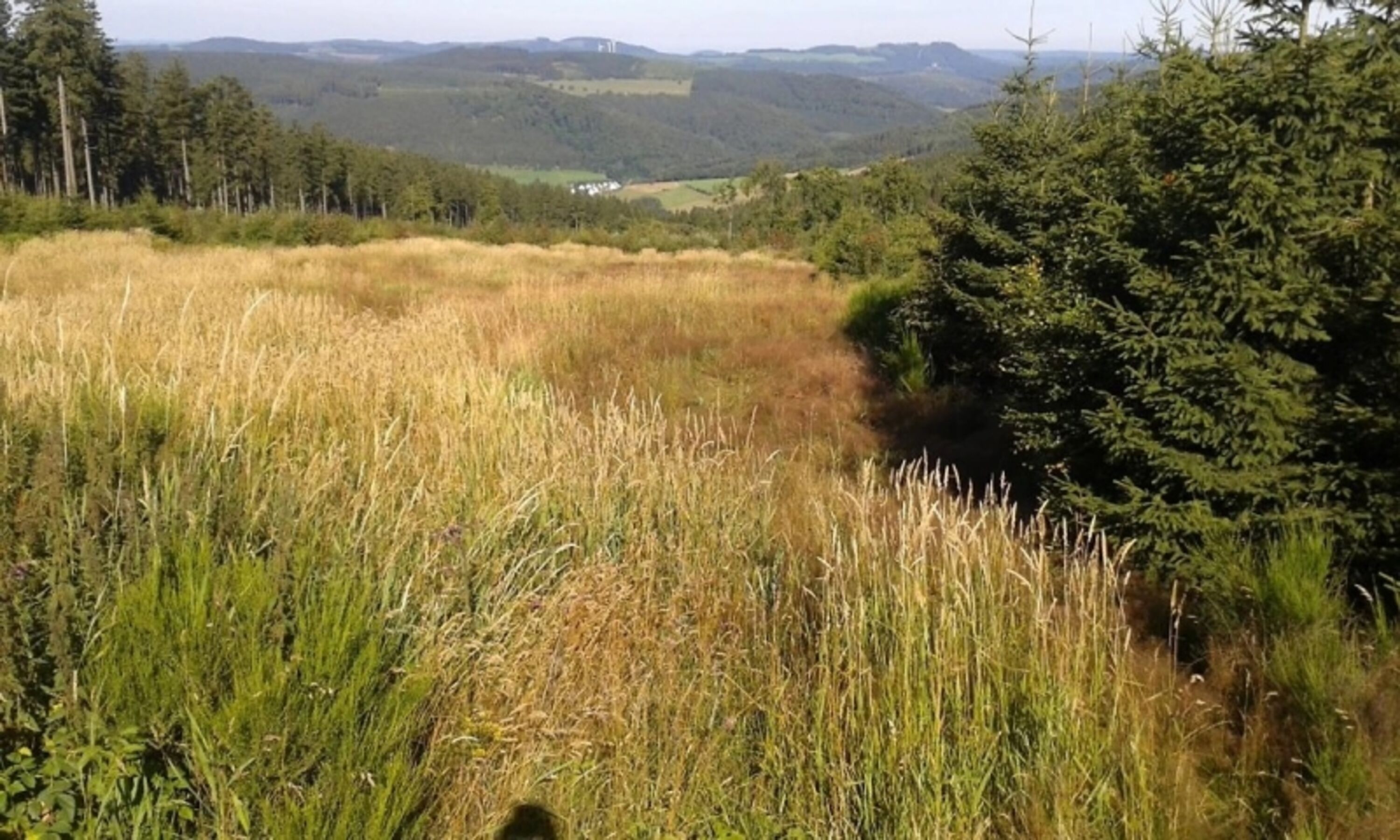 Blick von der Hochheide (nicht vom Haus aus)