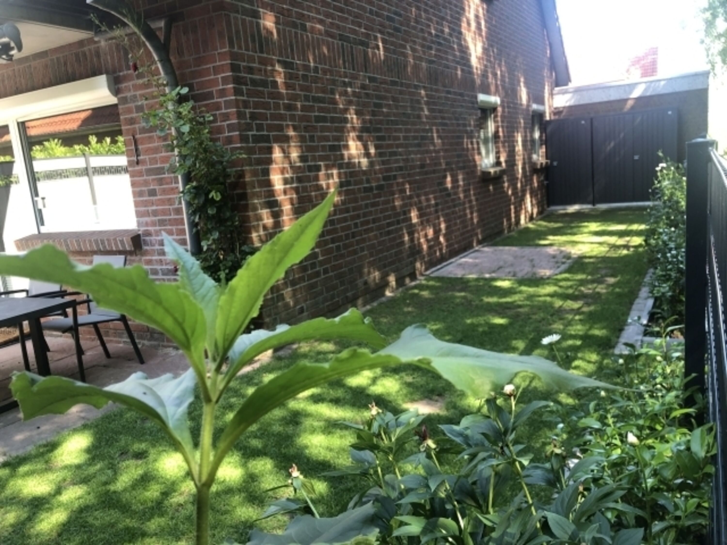 Garten