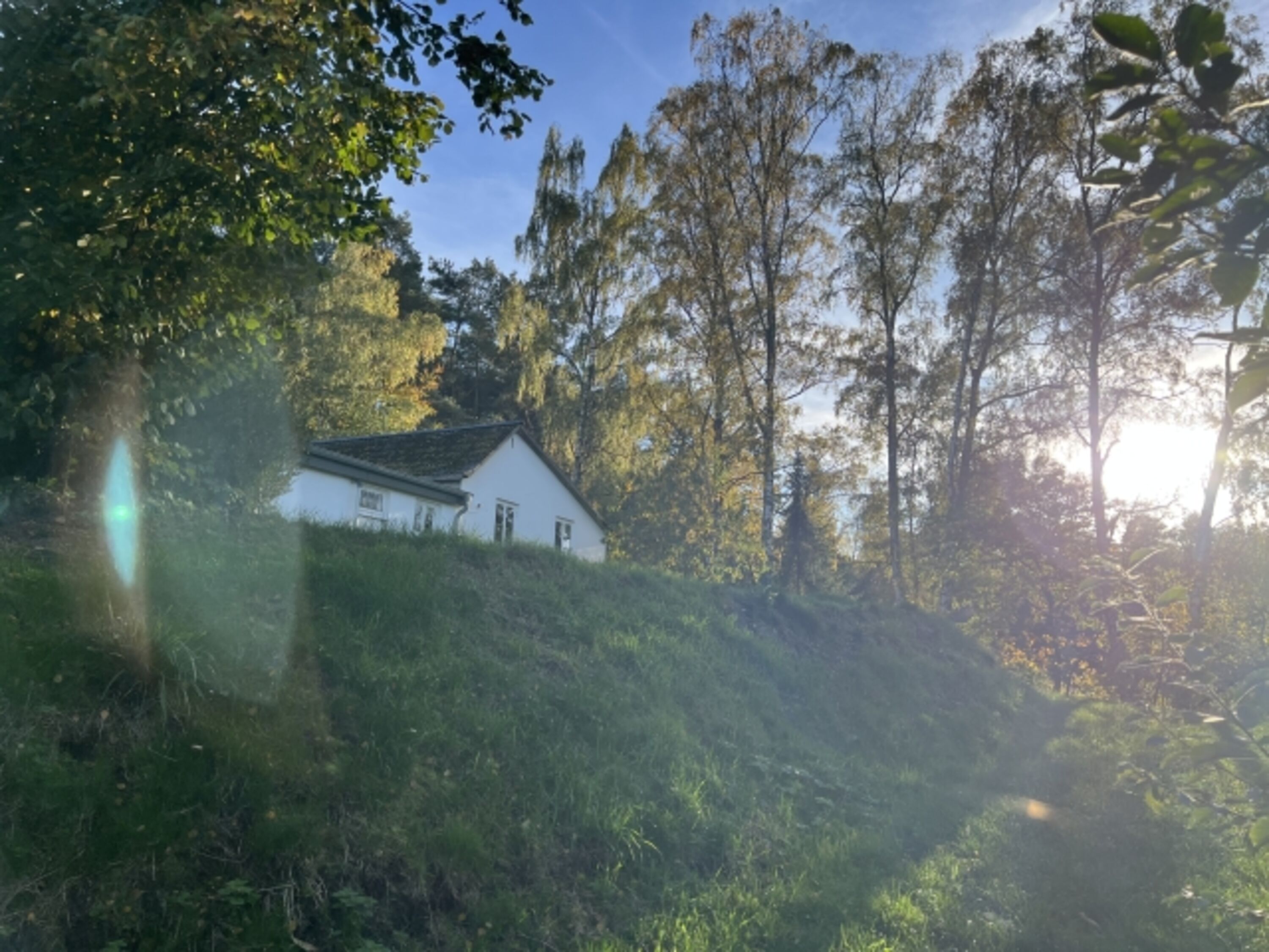 Bild 14