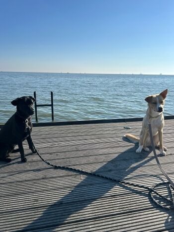 Anlage mit direktem Anschluß an das Meer