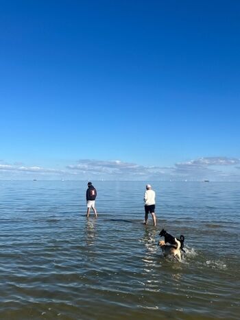 Hundestrand direkt in der Nähe