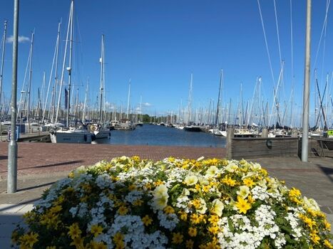 Hafen Enkhuizen