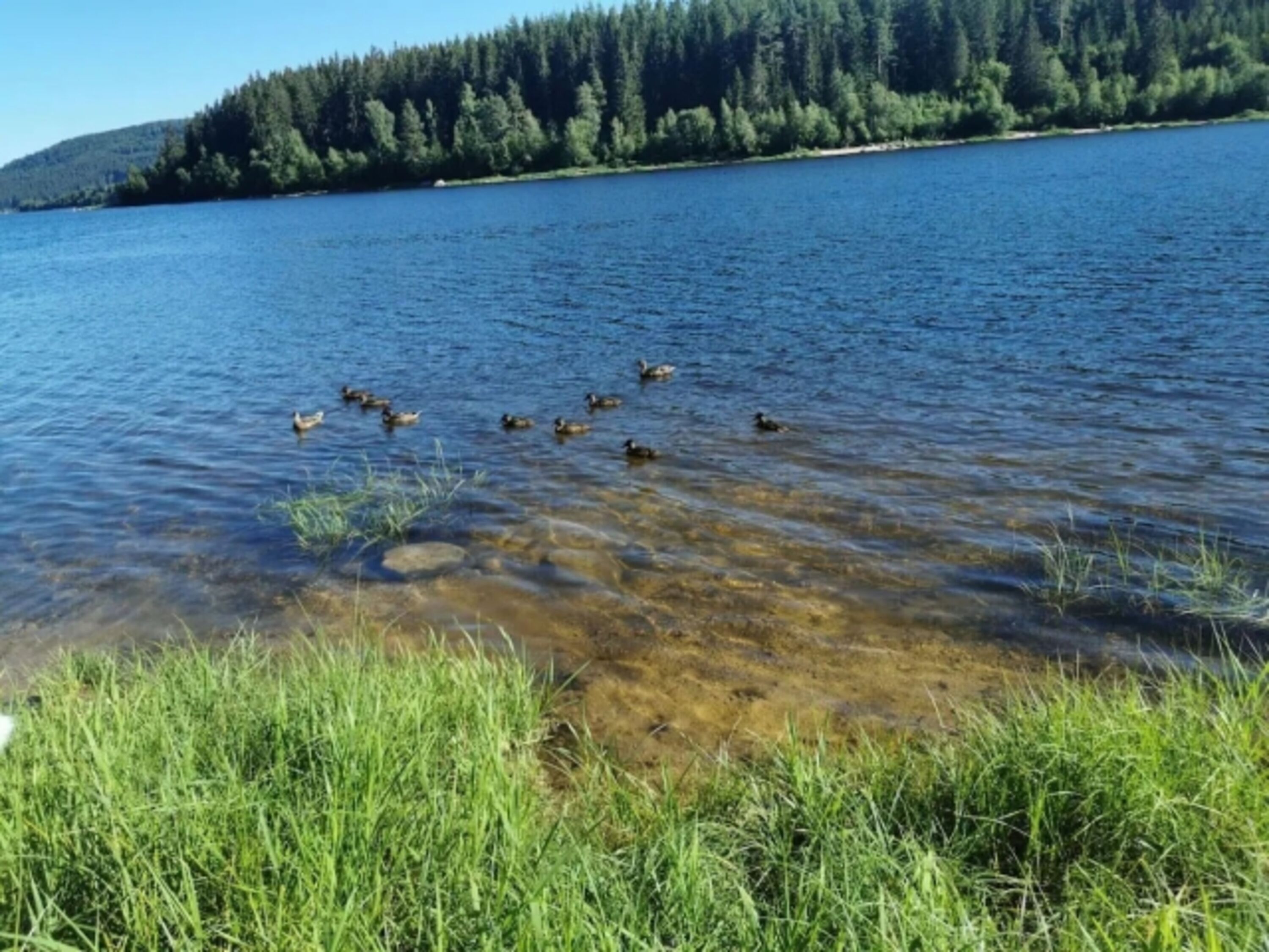 Schluchsee