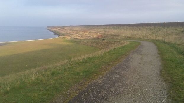 Hundestrand 500m Fußweg