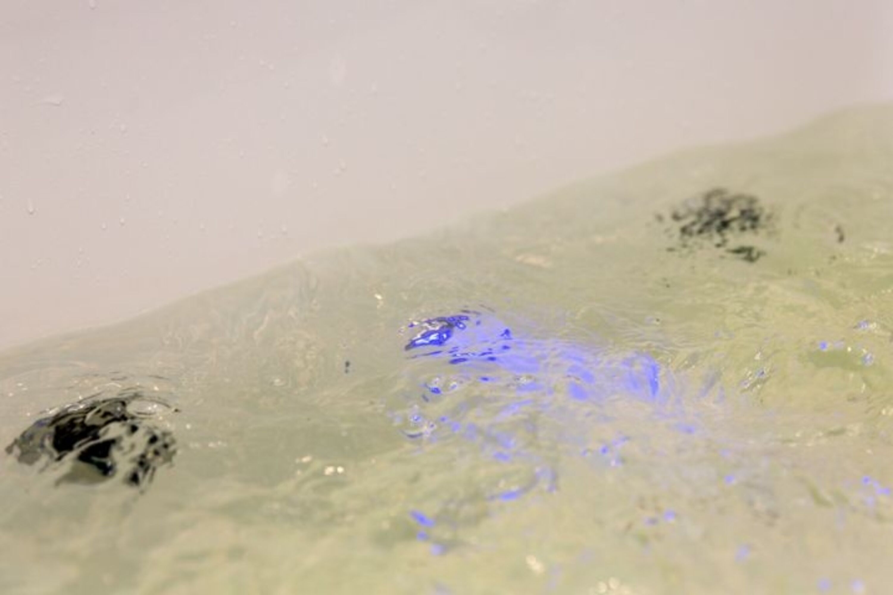 Whirlpool