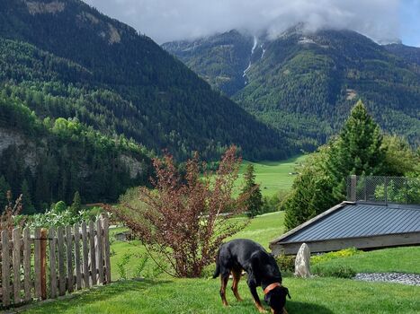 Aussicht von der Wohnung