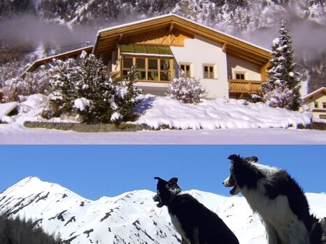 Fewo mit Terrasse - KOSTENLOSE  Hundebetreuung nach Absprach ...