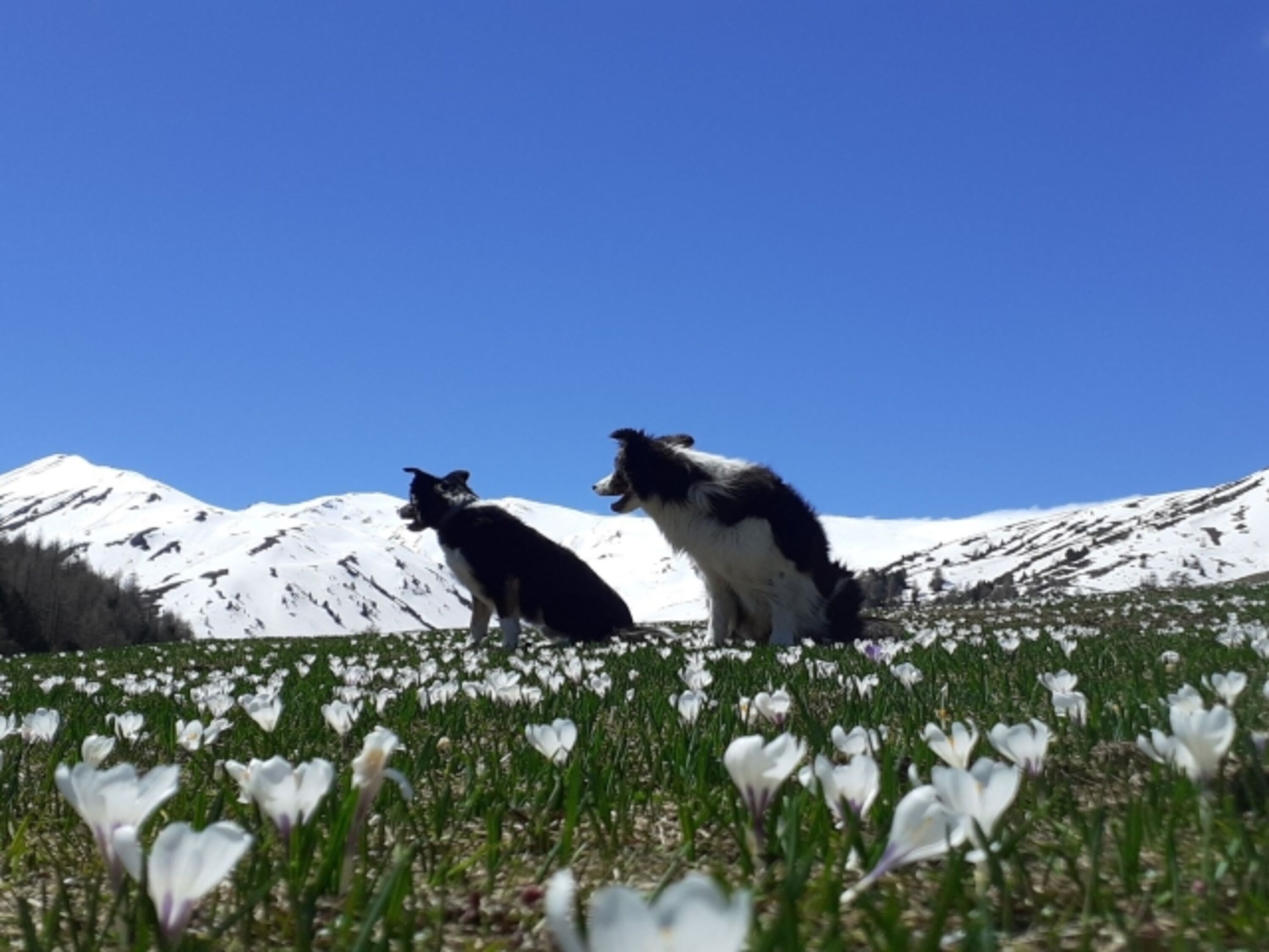 Frühling