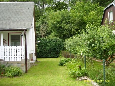 Der Waldrand direkt hinter dem Haus