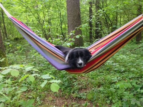 Entspannung muss sein