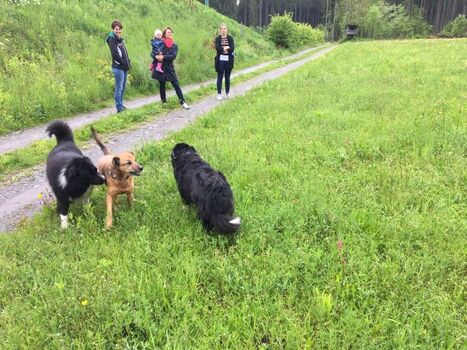 Spaziergang mit den Gästen