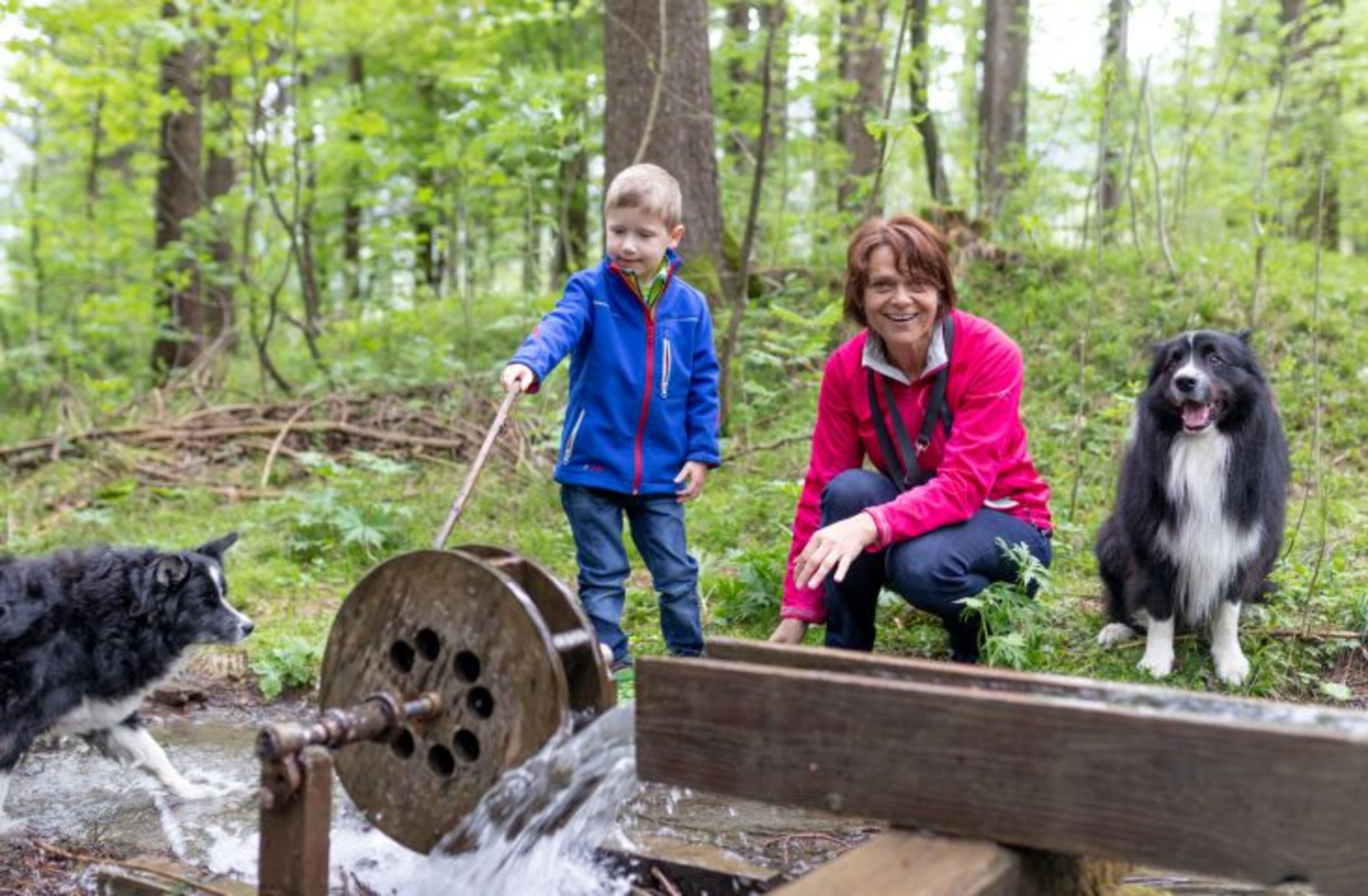 Bild 6