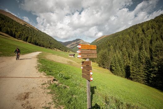 Ihr Freispielplatz für Ihren Hund