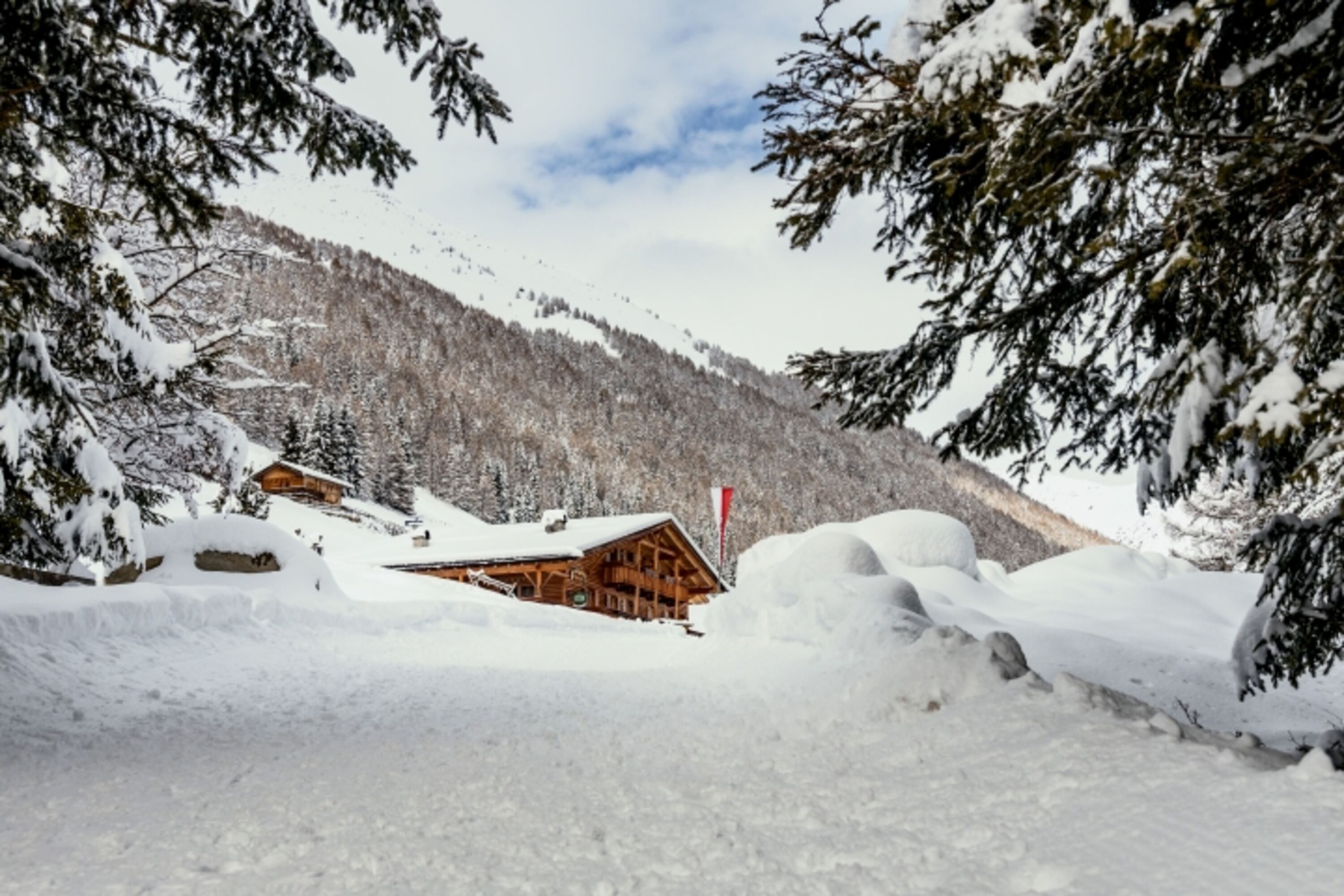Winterimpression
